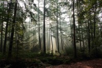 /album/fotogalerij-landschappen/ochtendzon-okt-2015-jpg/